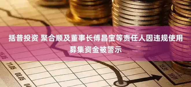 括普投资 聚合顺及董事长傅昌宝等责任人因违规使用募集资金被警示