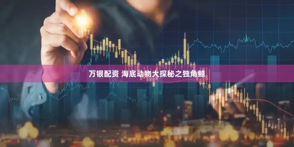 万银配资 海底动物大探秘之独角鲸