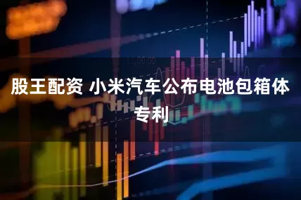 股王配资 小米汽车公布电池包箱体专利