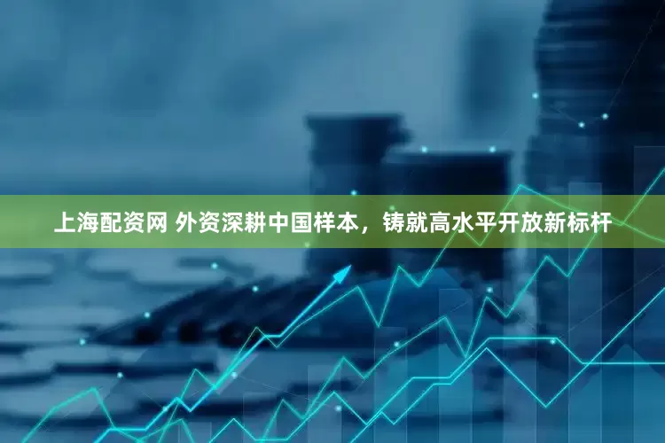 上海配资网 外资深耕中国样本，铸就高水平开放新标杆