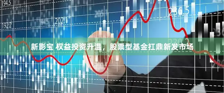 新影宝 权益投资升温，股票型基金扛鼎新发市场