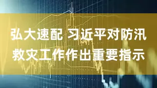 弘大速配 习近平对防汛救灾工作作出重要指示