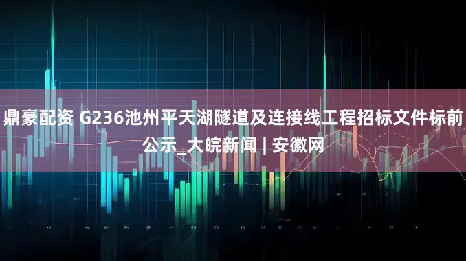 鼎豪配资 G236池州平天湖隧道及连接线工程招标文件标前公示_大皖新闻 | 安徽网