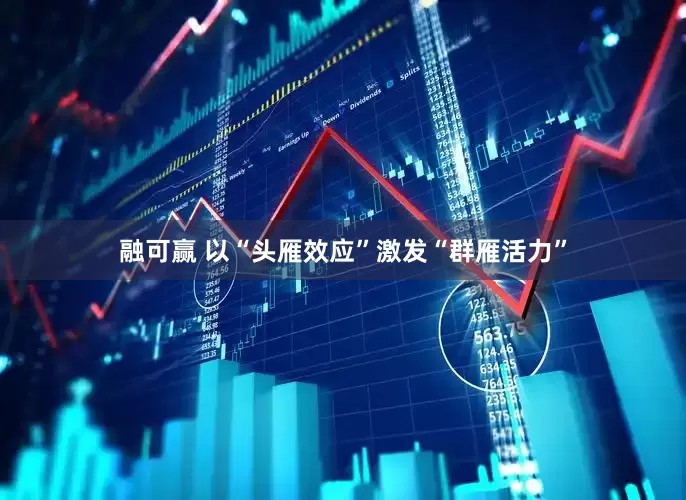融可赢 以“头雁效应”激发“群雁活力”